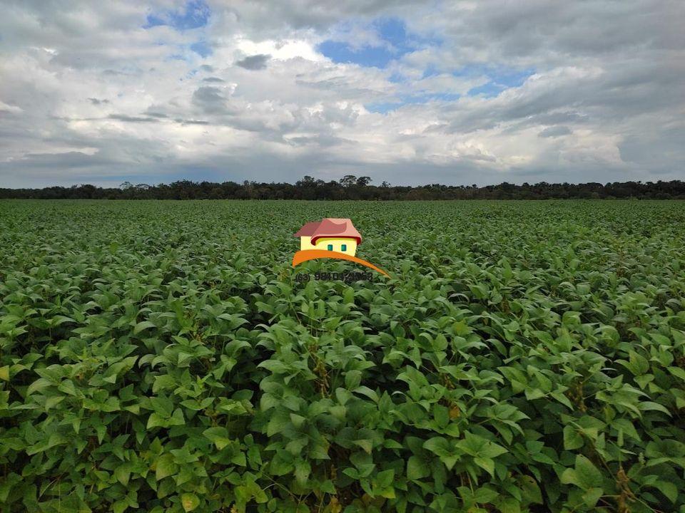 Fazenda à venda, 1m² - Foto 22