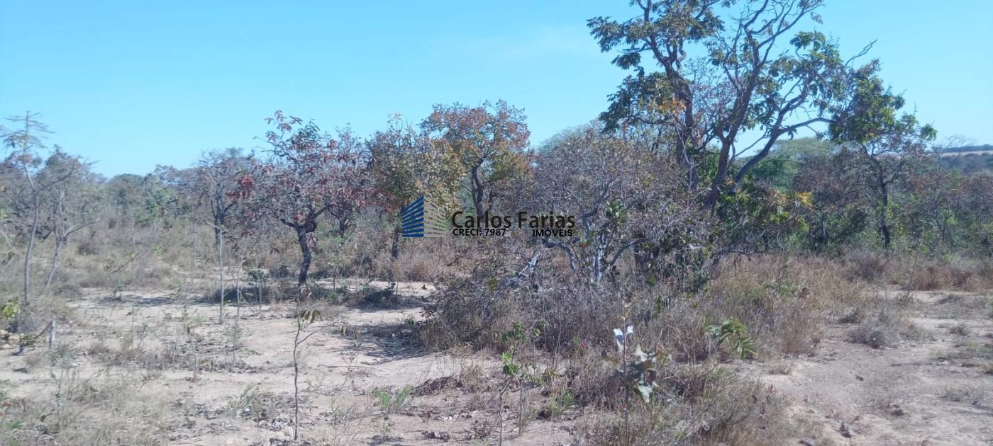 Chácara à venda, 20000m² - Foto 16