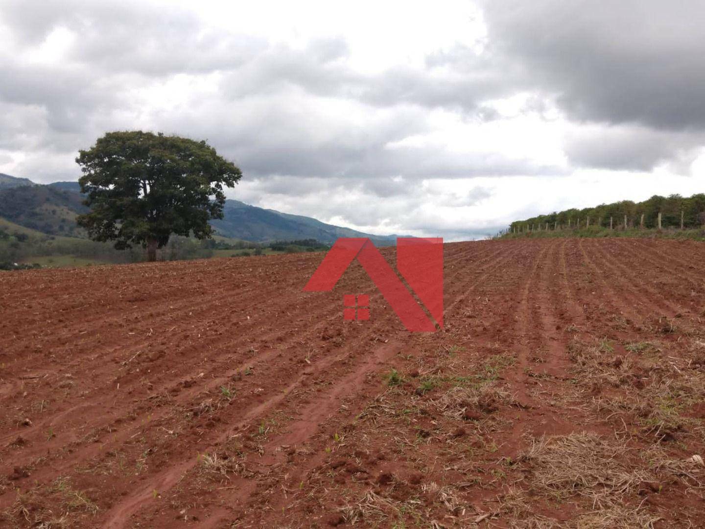 Fazenda à venda com 2 quartos, 200m² - Foto 14