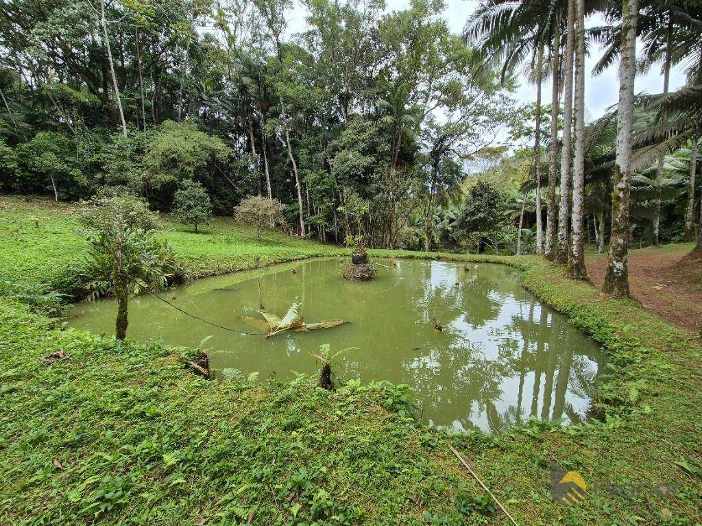 Sítio à venda com 3 quartos, 200m² - Foto 42
