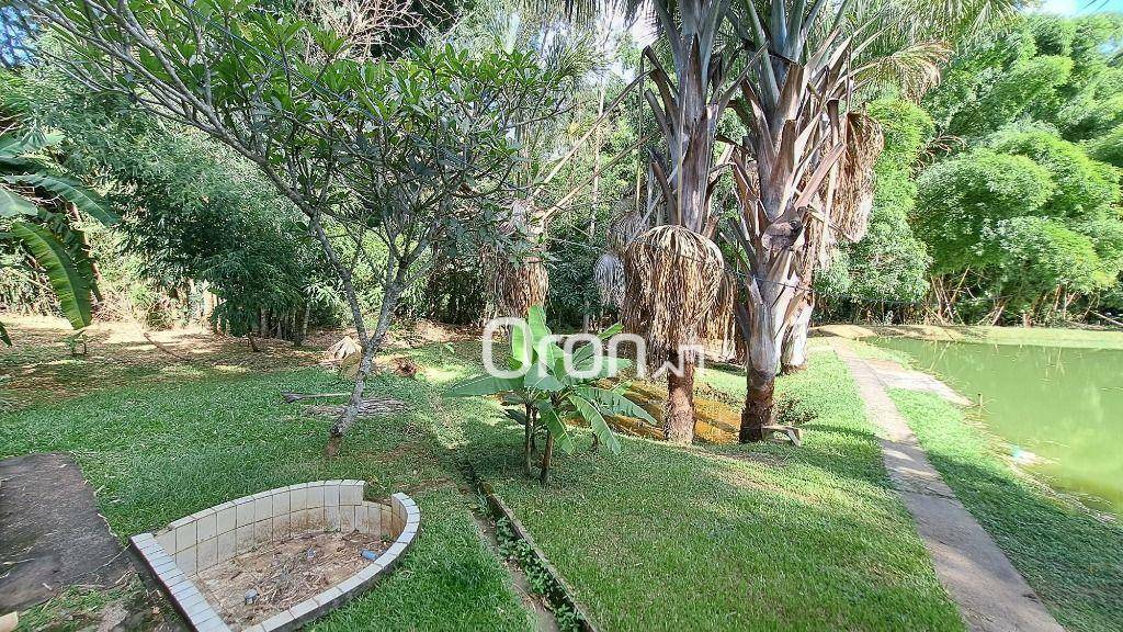 Chácara à venda com 4 quartos, 46000M2 - Foto 18