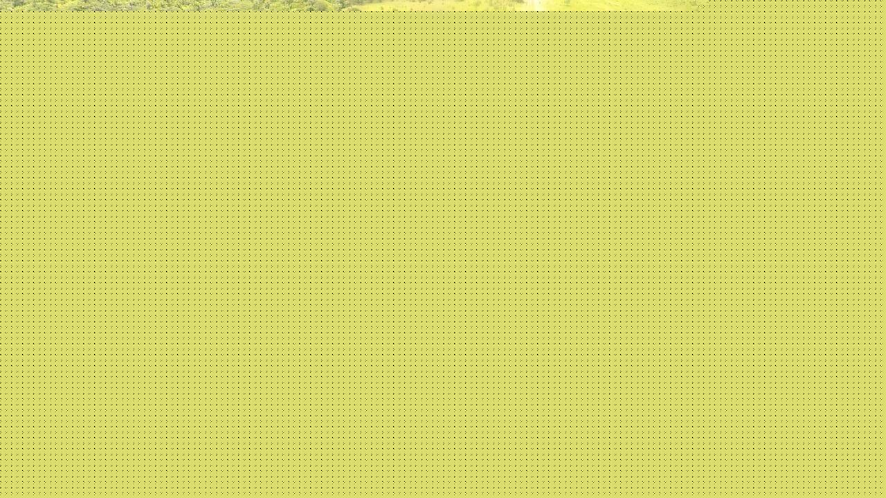 Fazenda à venda, 1m² - Foto 16
