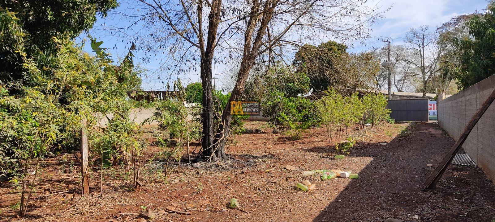 Terreno à venda, 1211m² - Foto 4