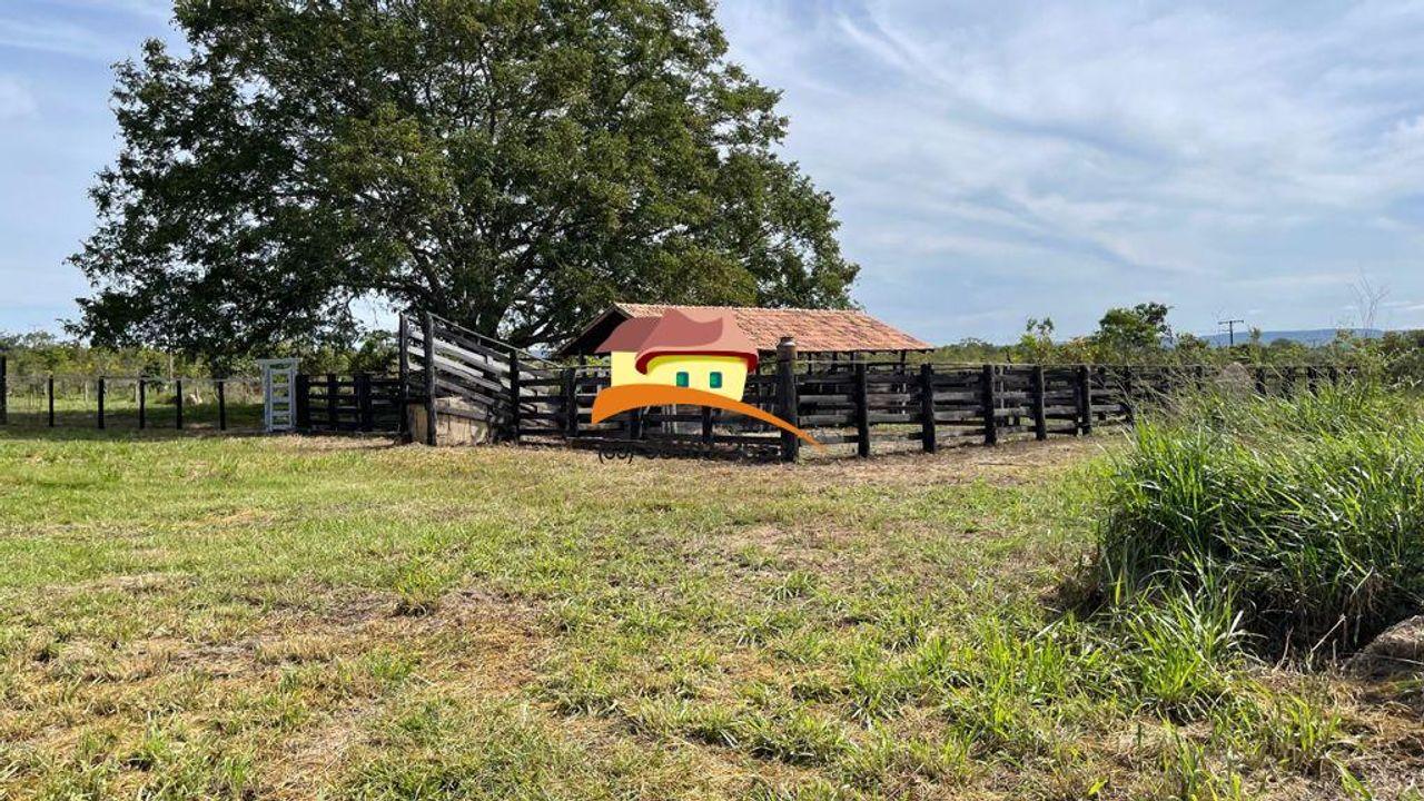 Fazenda à venda, 1m² - Foto 3