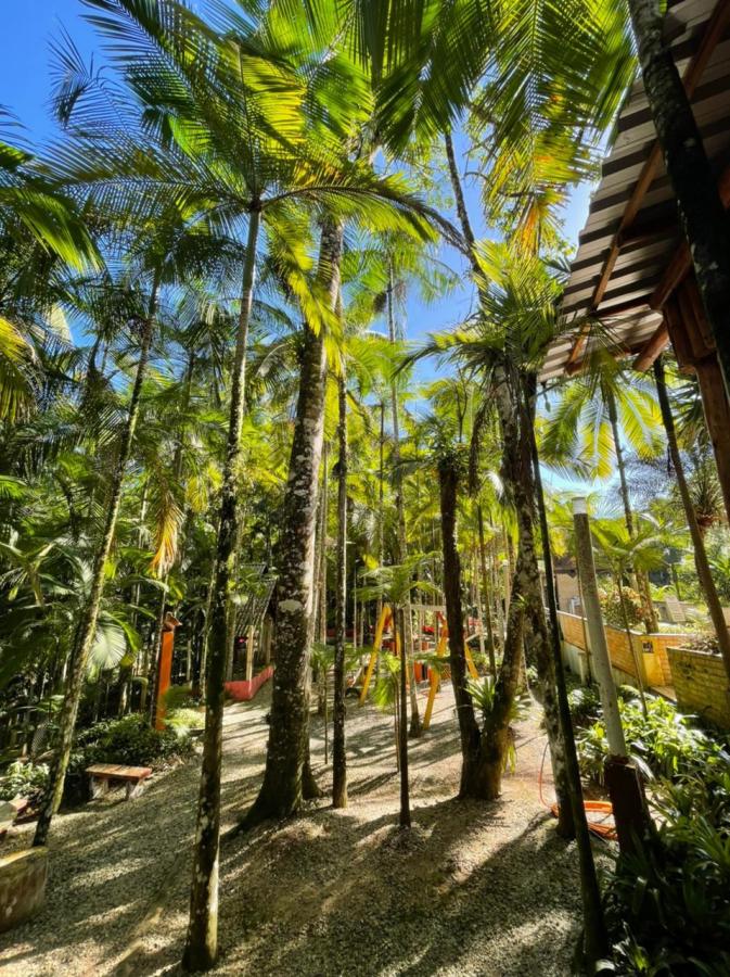 Chácara à venda com 3 quartos, 24004m² - Foto 10