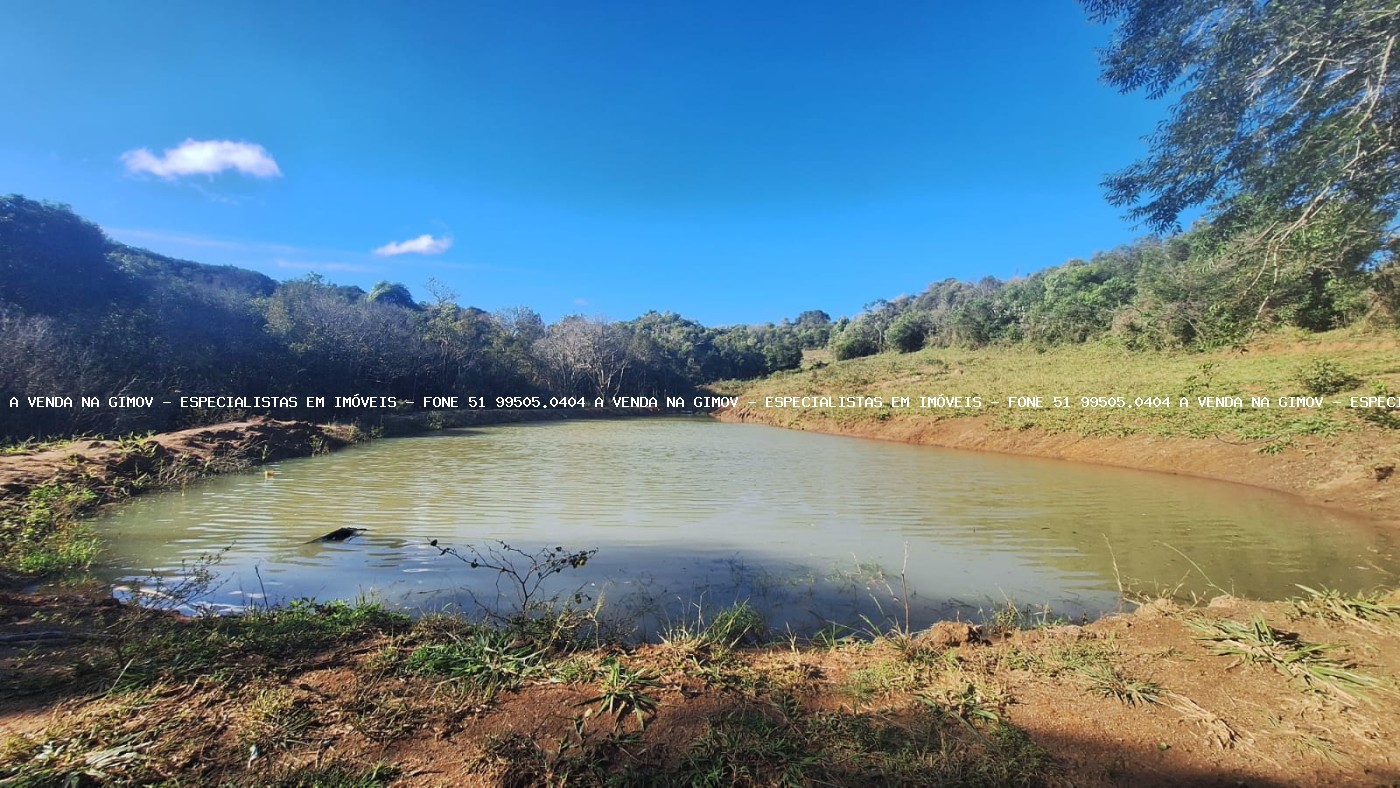 Sítio à venda com 4 quartos, 46500m² - Foto 20