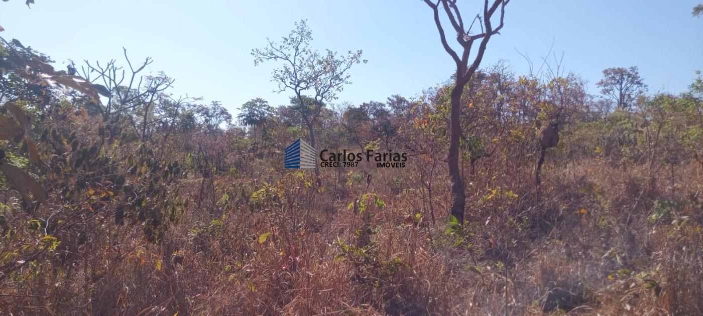 Chácara à venda, 20000m² - Foto 21