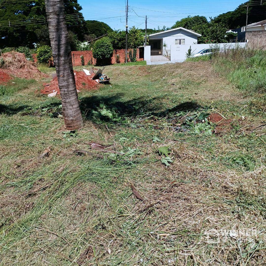Terreno à venda, 207M2 - Foto 4