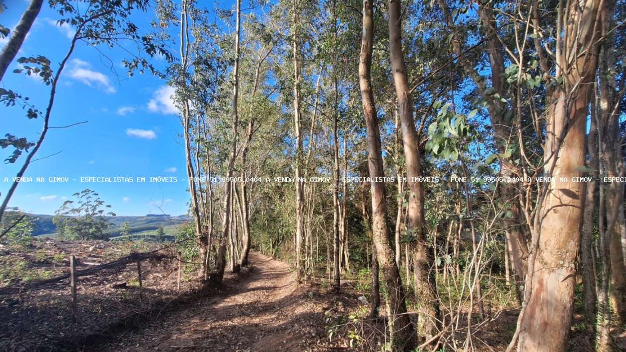 Sítio à venda com 2 quartos, 96000m² - Foto 5