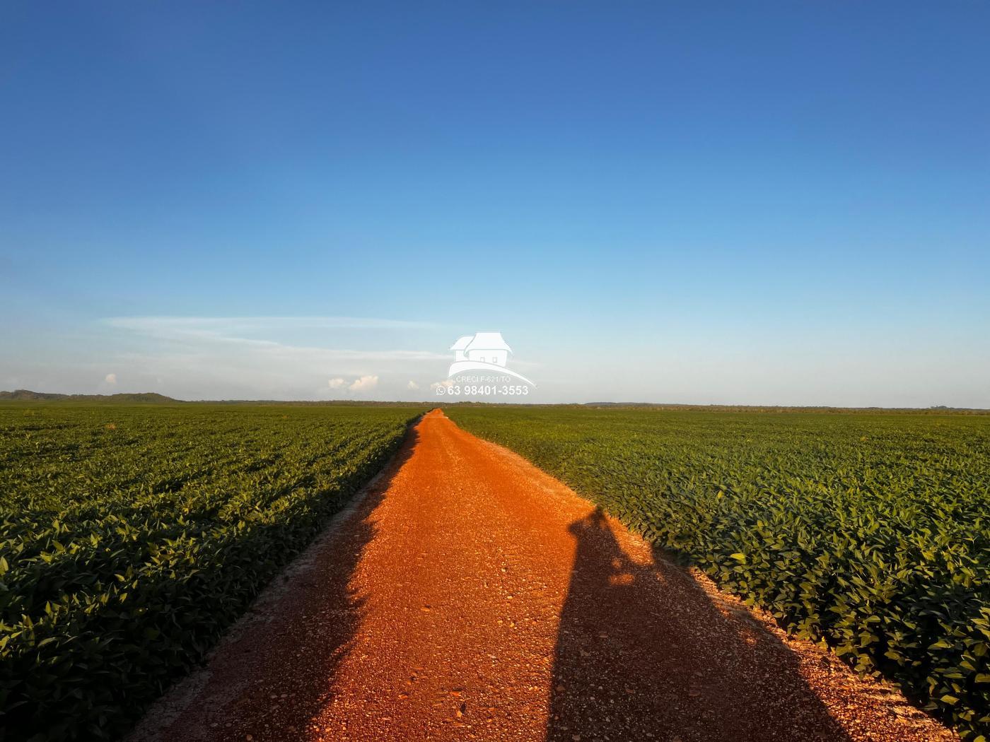 Fazenda à venda, 1m² - Foto 2