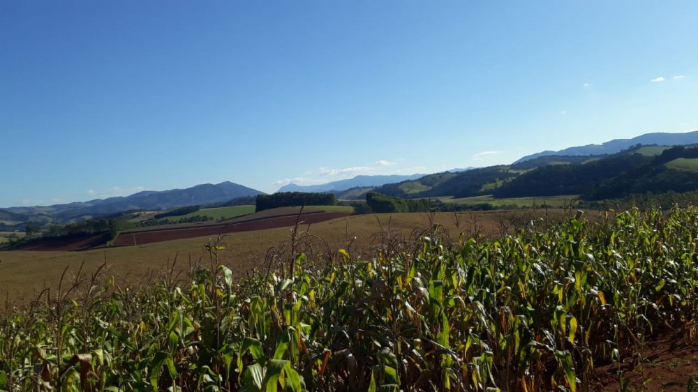 Fazenda à venda, 178m² - Foto 25