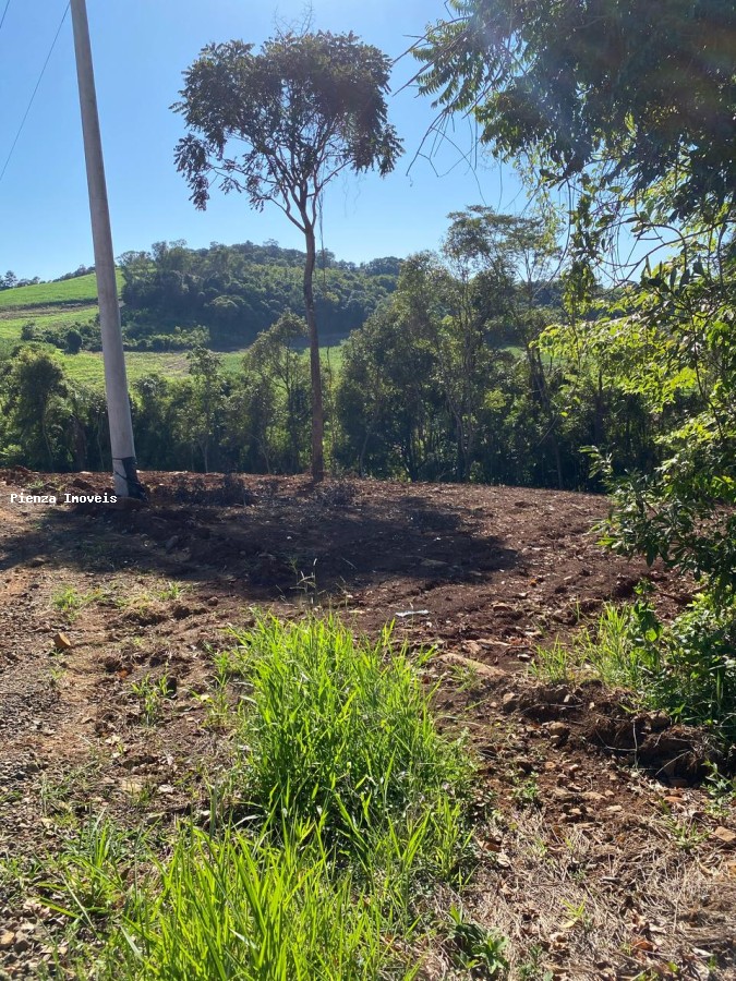 Terreno à venda, 3716m² - Foto 8
