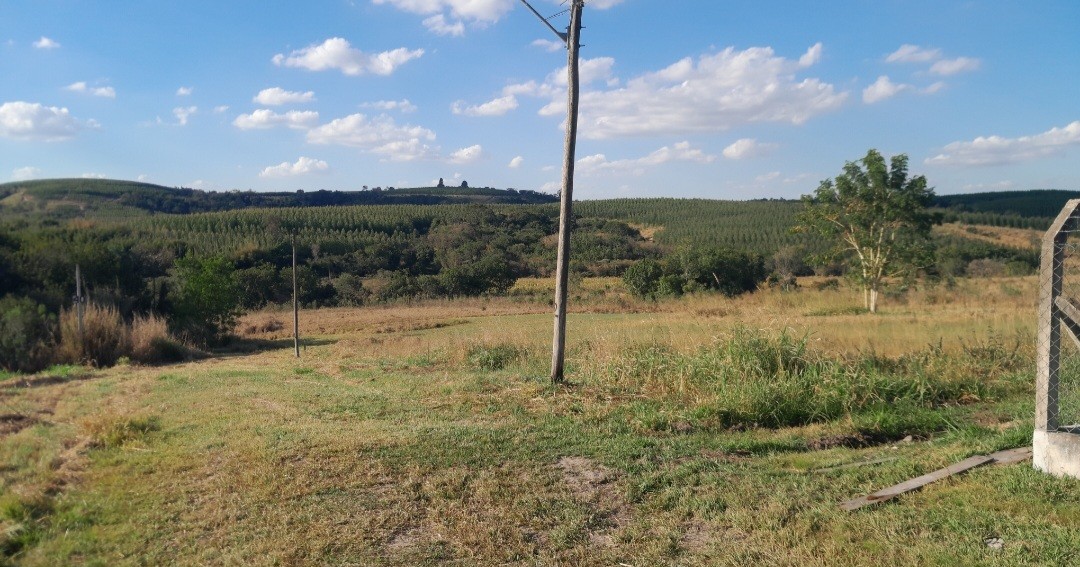 Chácara à venda, 5000m² - Foto 4