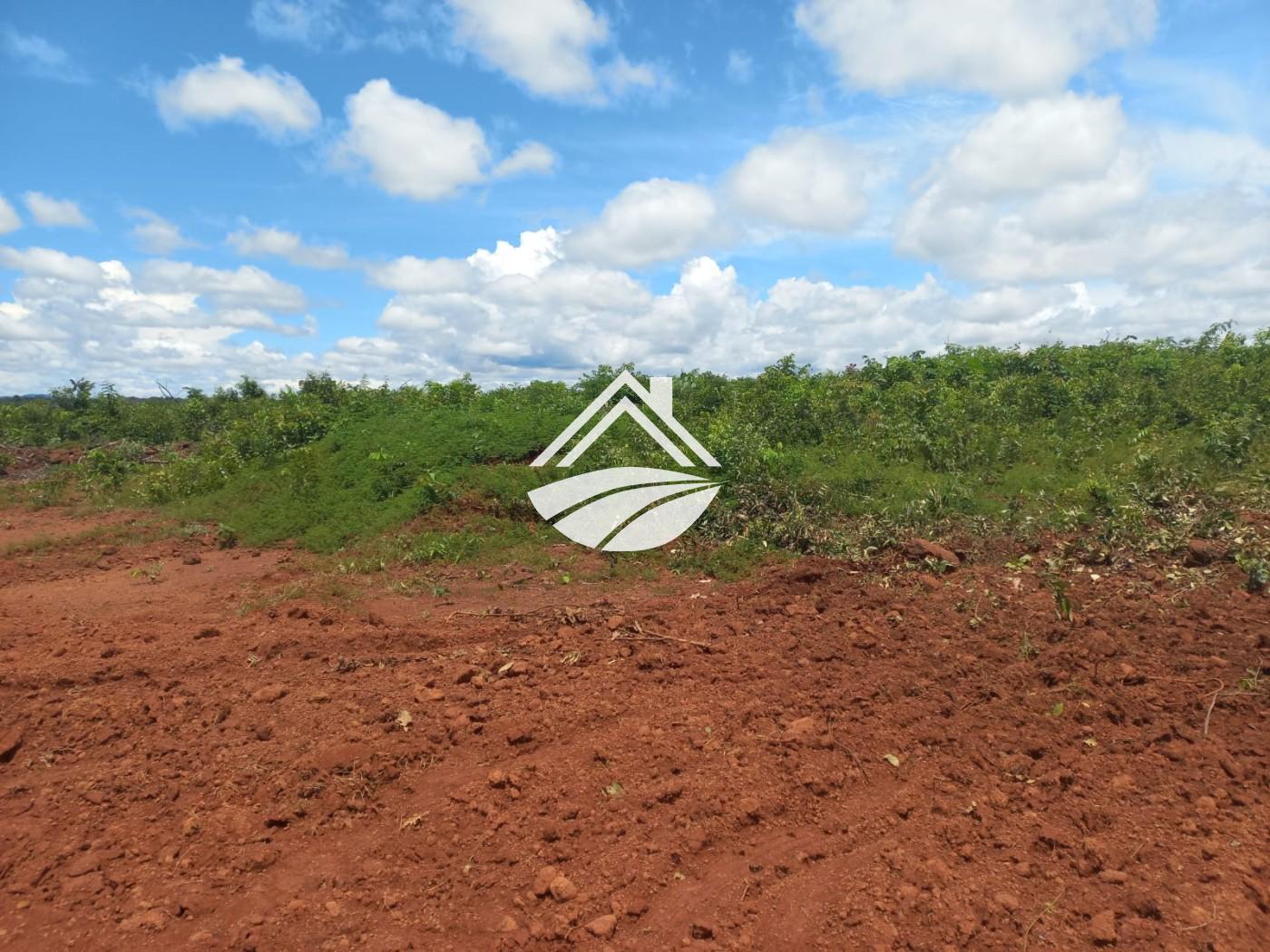 Fazenda à venda, 1m² - Foto 20