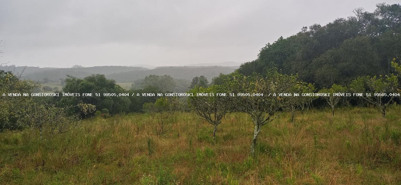 Sítio à venda com 3 quartos, 70000m² - Foto 20
