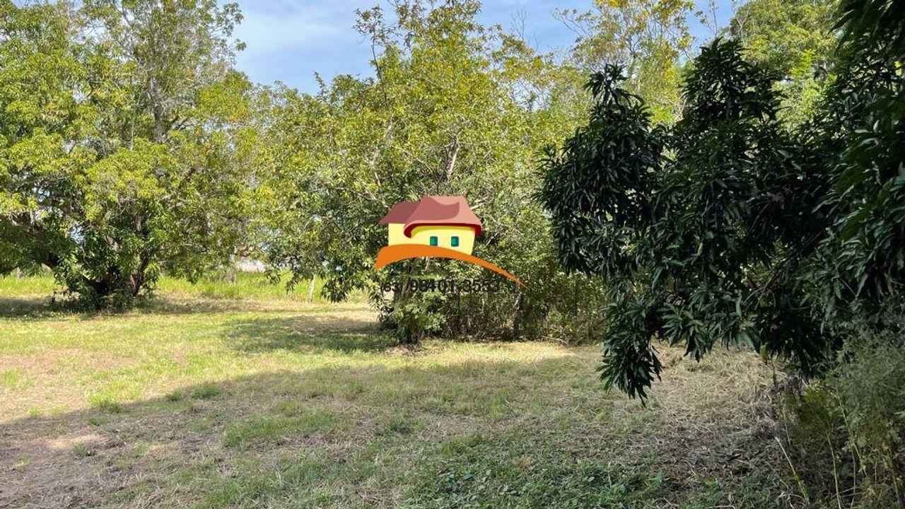 Fazenda à venda, 1m² - Foto 5