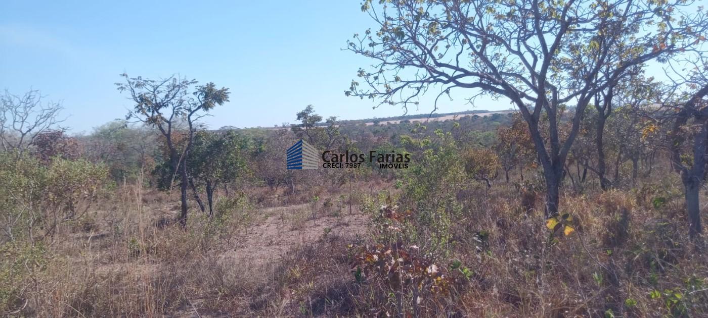 Chácara à venda, 20000m² - Foto 14