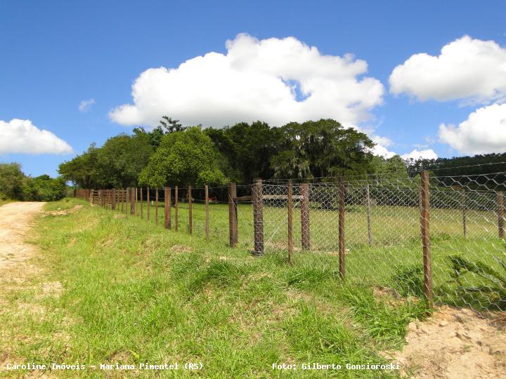 Chácara à venda com 3 quartos, 160000m² - Foto 9