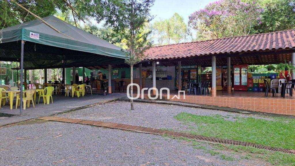 Chácara à venda com 4 quartos, 46000M2 - Foto 5