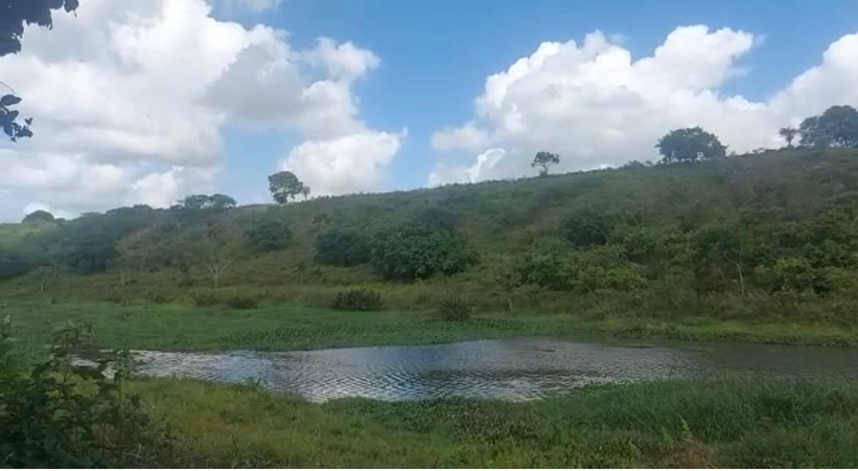 Terreno à venda - Foto 4