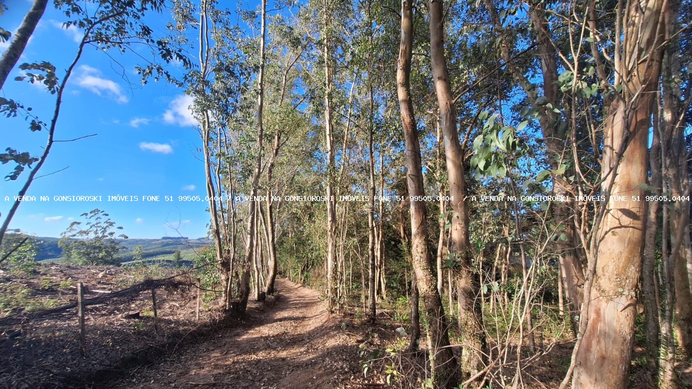 Sítio à venda com 2 quartos, 96000m² - Foto 5