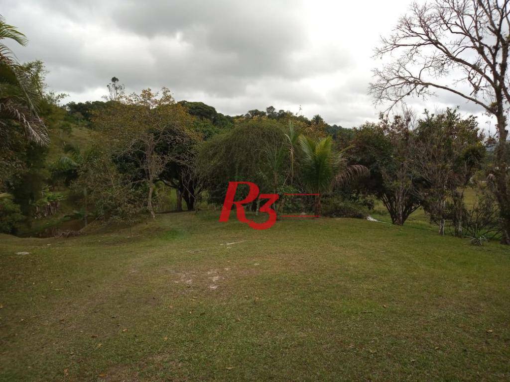 Sítio à venda com 5 quartos, 750m² - Foto 9