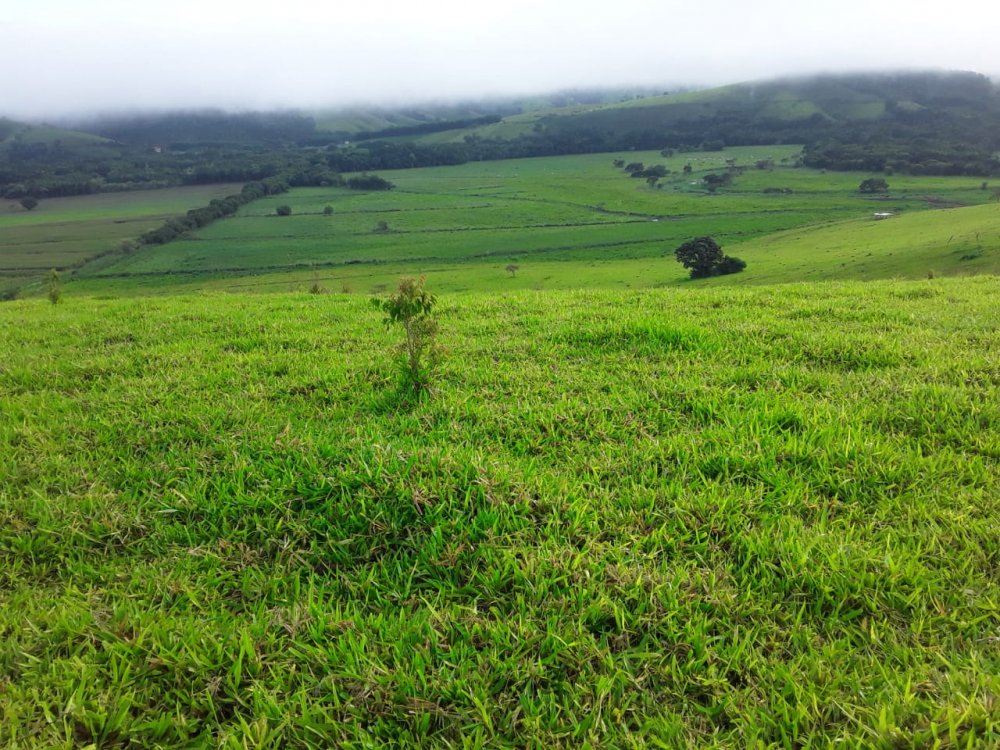 Fazenda à venda, 178m² - Foto 32