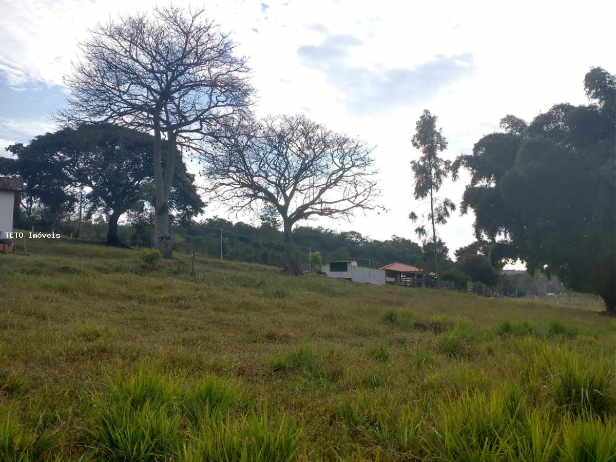 Sítio à venda com 4 quartos, 13500m² - Foto 13