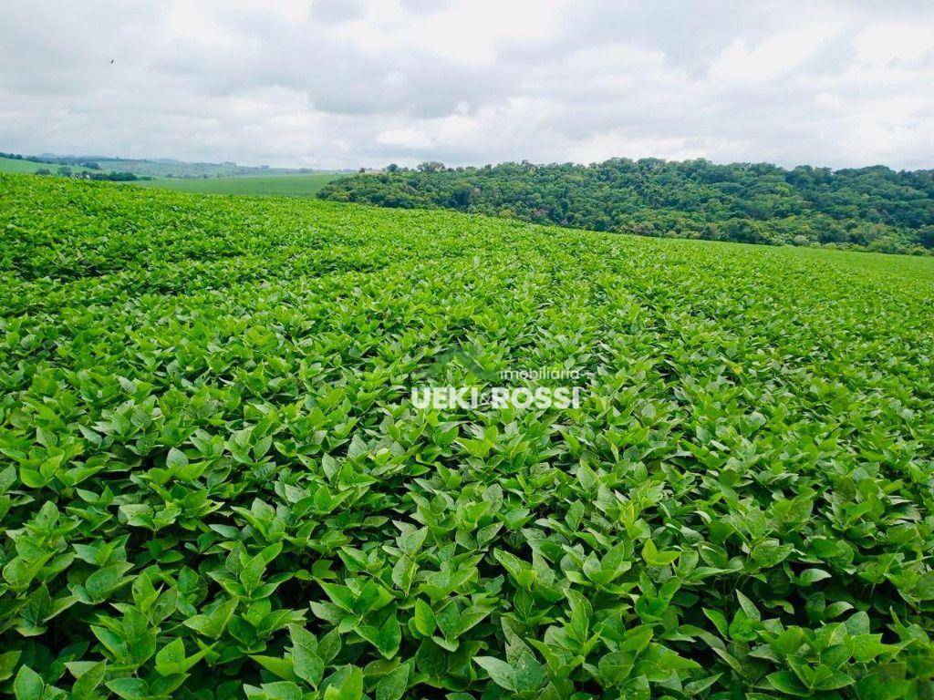 Fazenda à venda, 1113200M2 - Foto 1