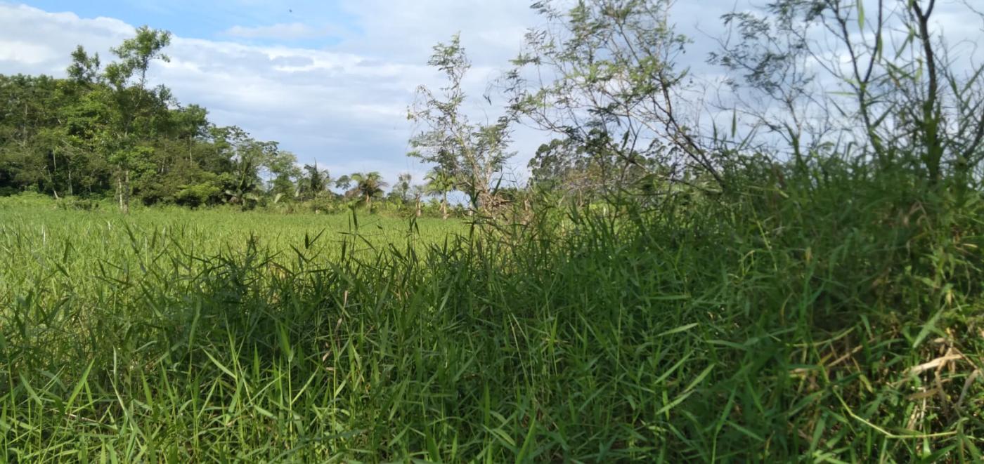 Chácara à venda, 22000m² - Foto 4