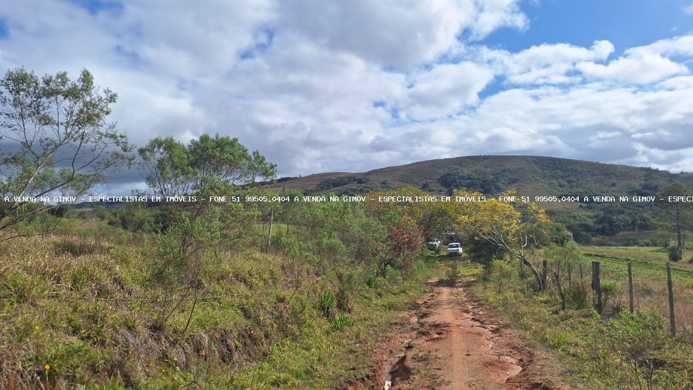Sítio à venda com 2 quartos, 25000m² - Foto 5