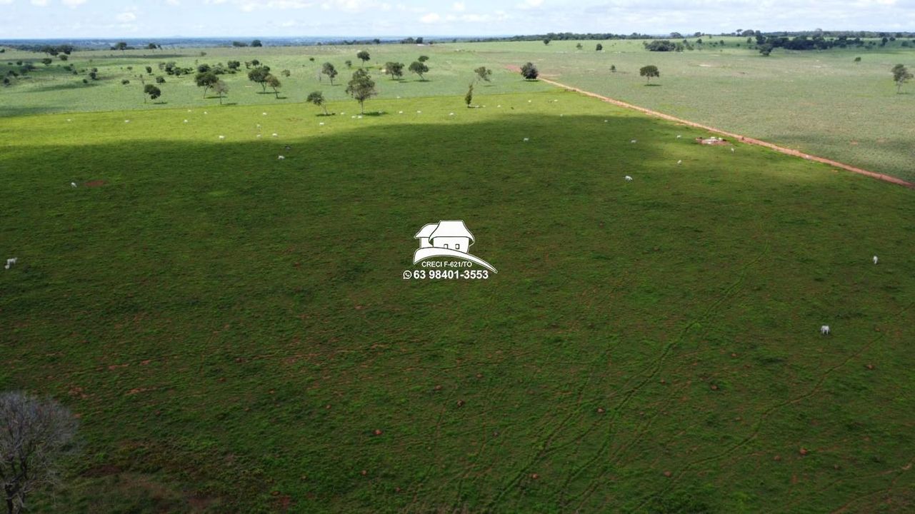 Fazenda à venda, 1m² - Foto 10