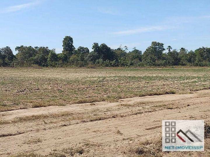 Fazenda à venda com 5 quartos, 500m² - Foto 5