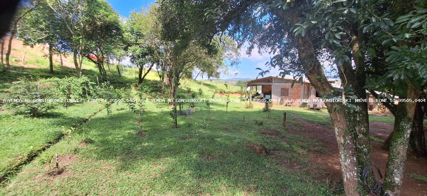 Chácara à venda com 2 quartos, 10000m² - Foto 13