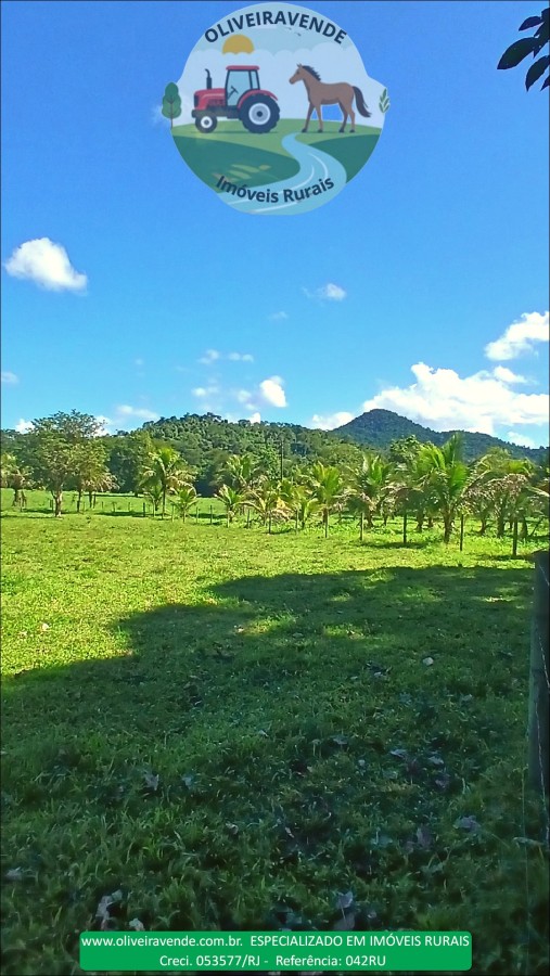 Fazenda à venda com 5 quartos, 96m² - Foto 32