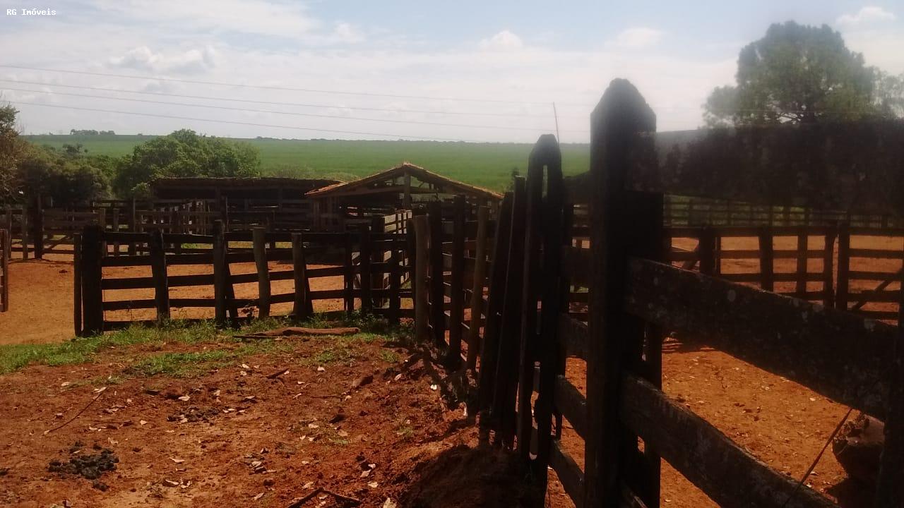 Fazenda à venda com 3 quartos, 3581600m² - Foto 8