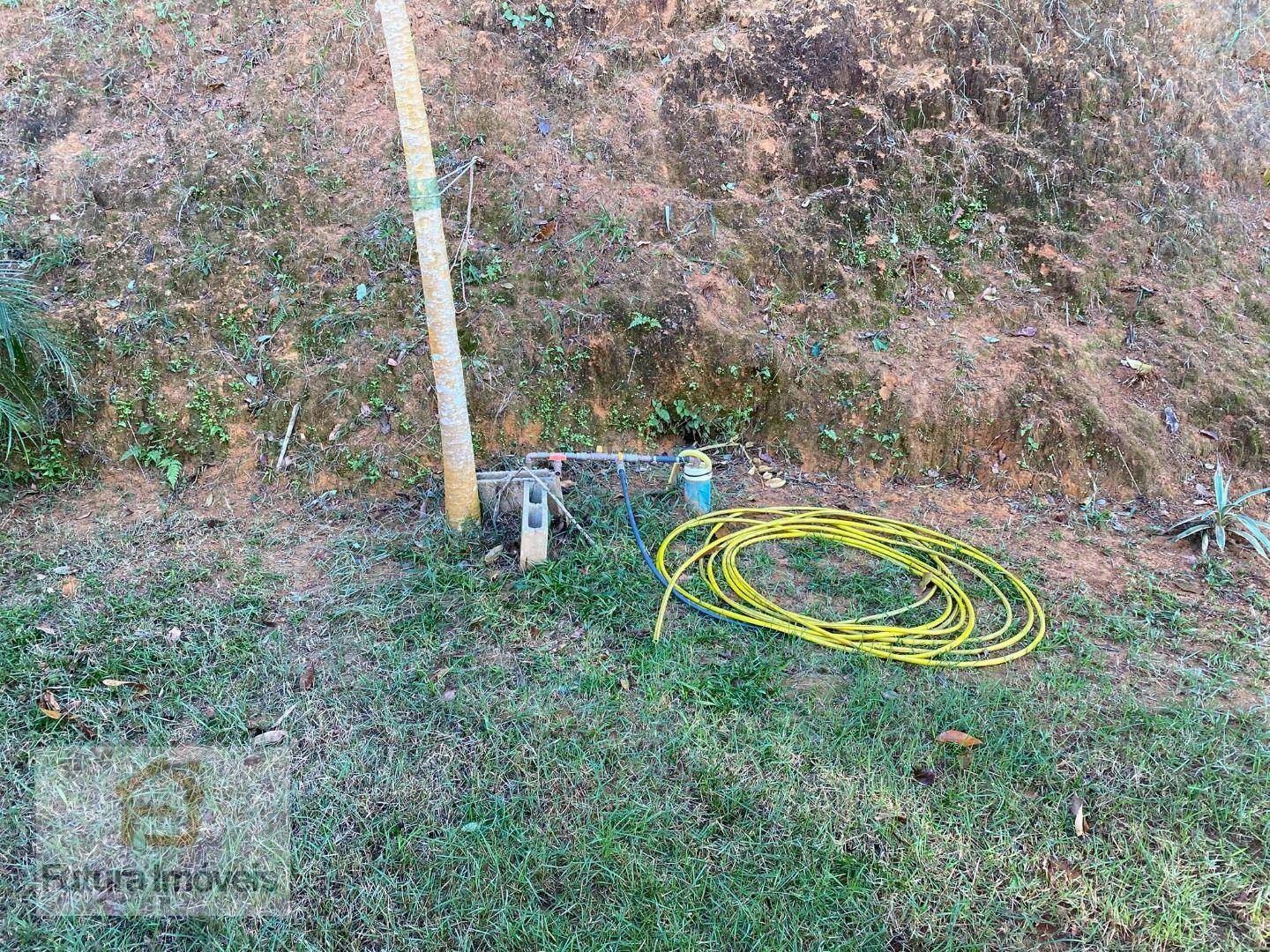 Chácara à venda com 3 quartos, 6000M2 - Foto 4