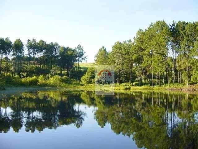 Chácara à venda com 4 quartos, 400m² - Foto 27