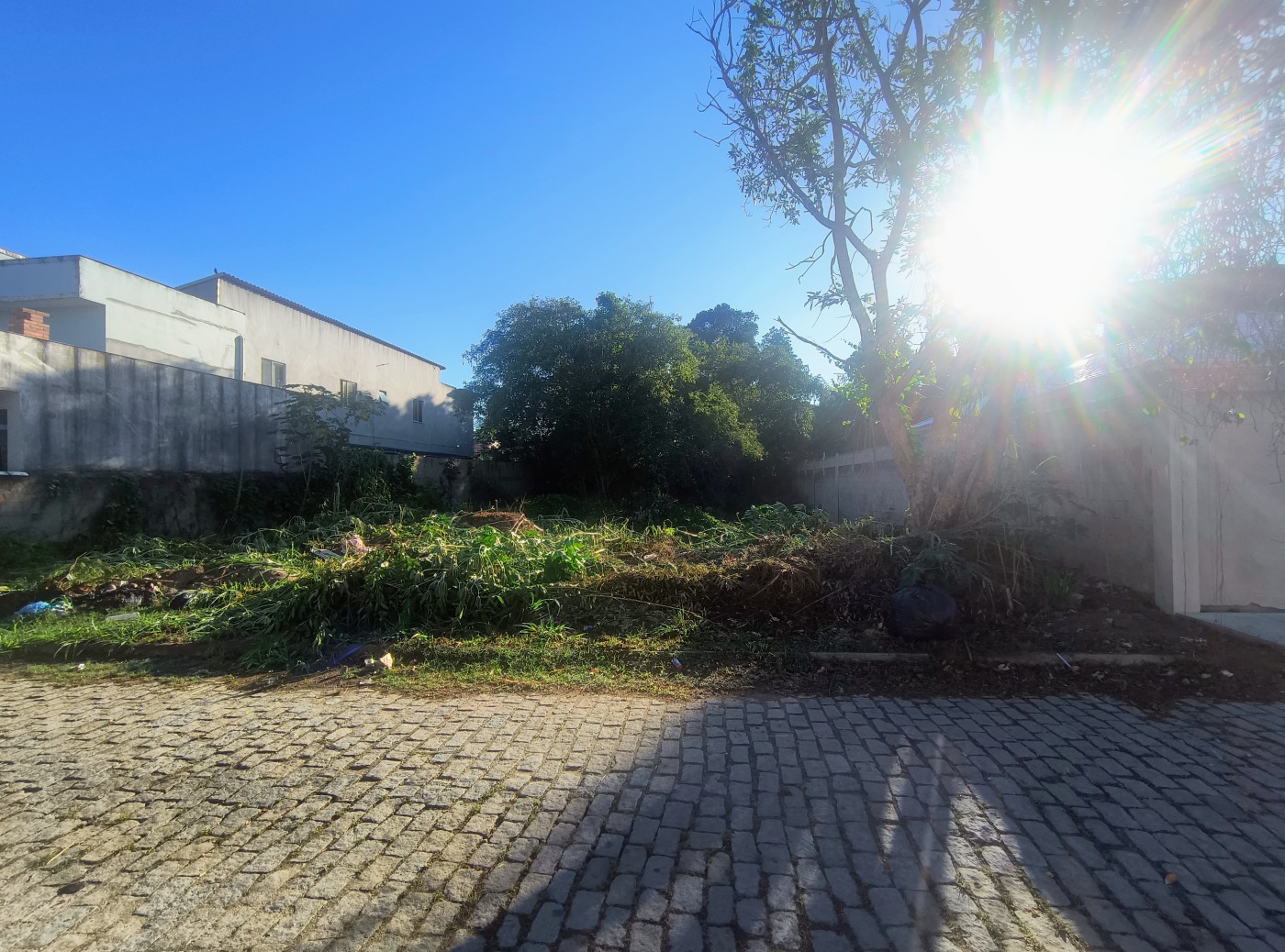 Terreno à venda, 450m² - Foto 2