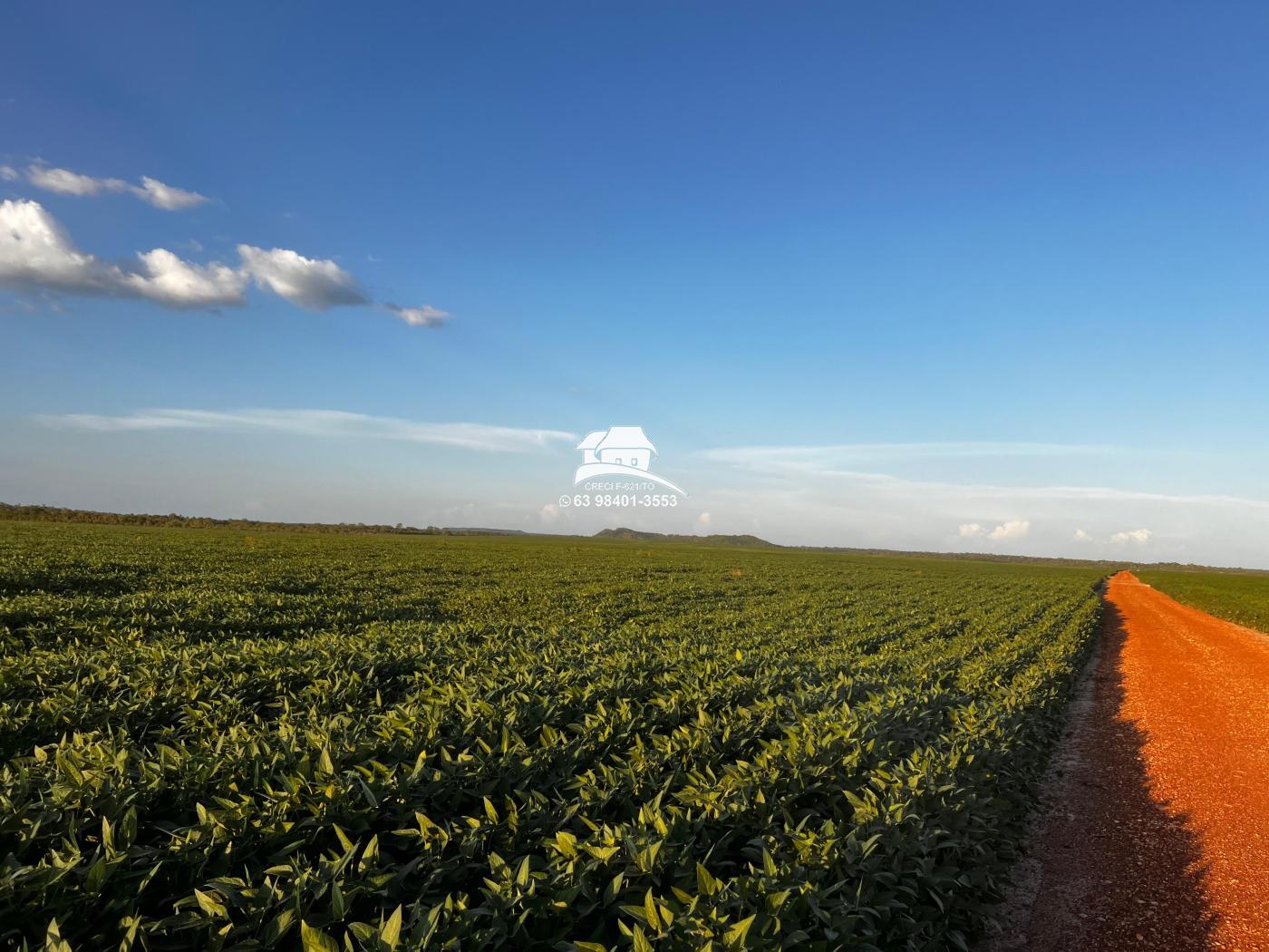 Fazenda à venda, 1m² - Foto 3