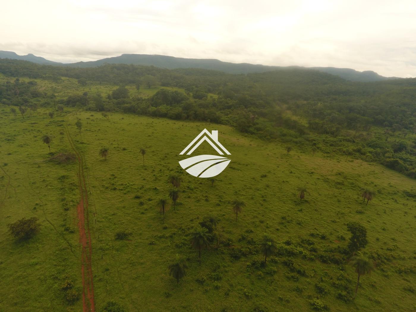 Fazenda à venda, 1m² - Foto 2