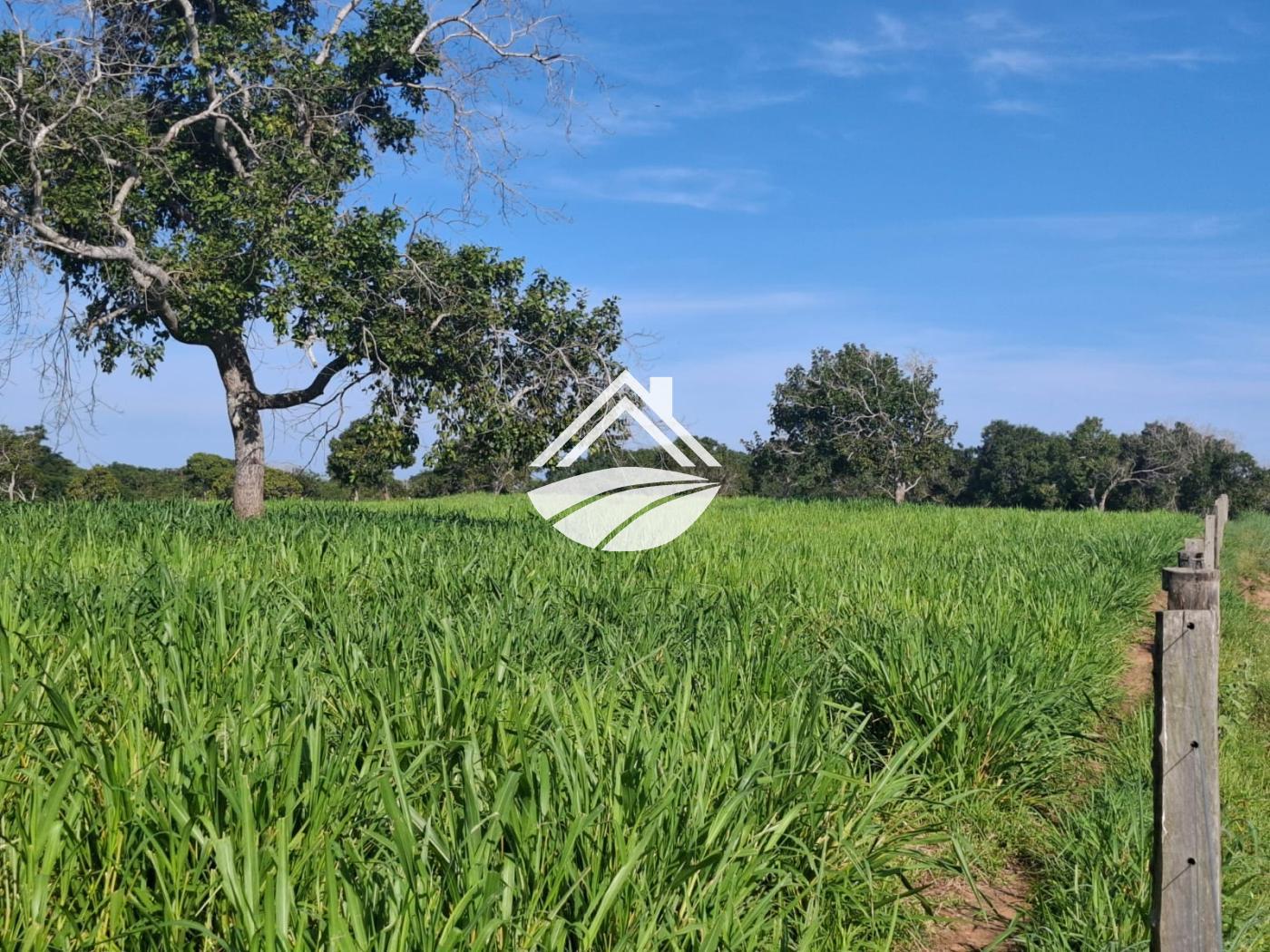 Fazenda à venda, 1m² - Foto 13