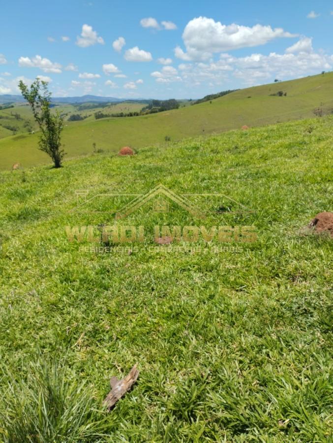 Fazenda à venda, 100m² - Foto 8