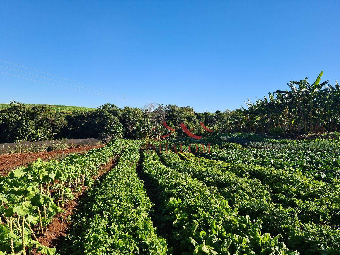 Chácara à venda com 4 quartos, 300m² - Foto 10