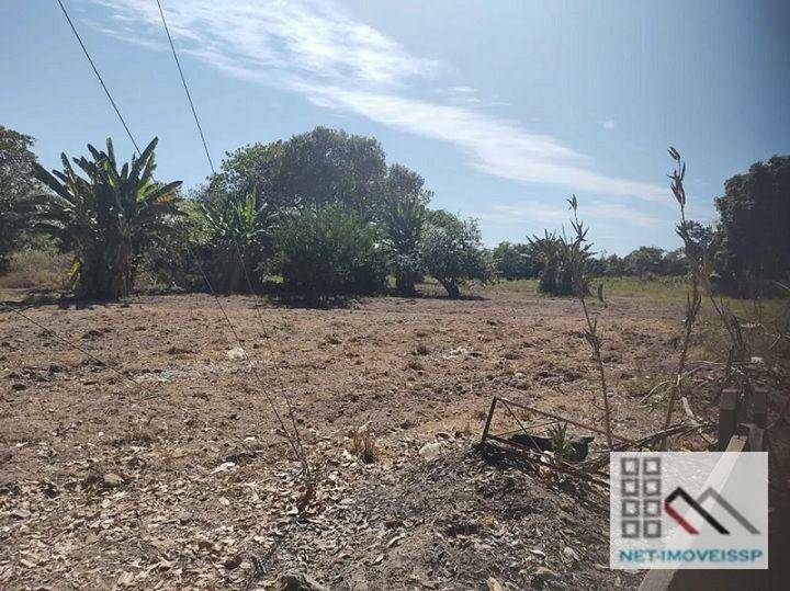 Fazenda à venda com 5 quartos, 500m² - Foto 7