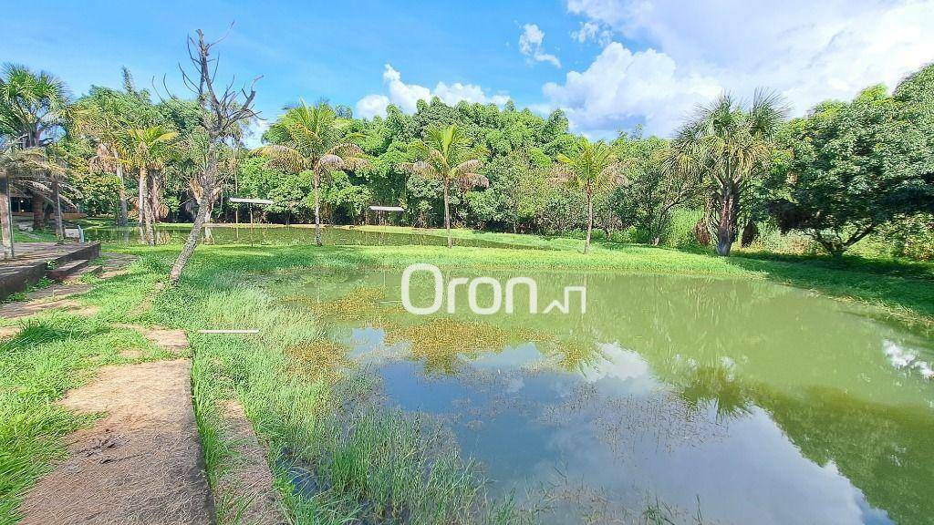 Chácara à venda com 4 quartos, 46000M2 - Foto 1