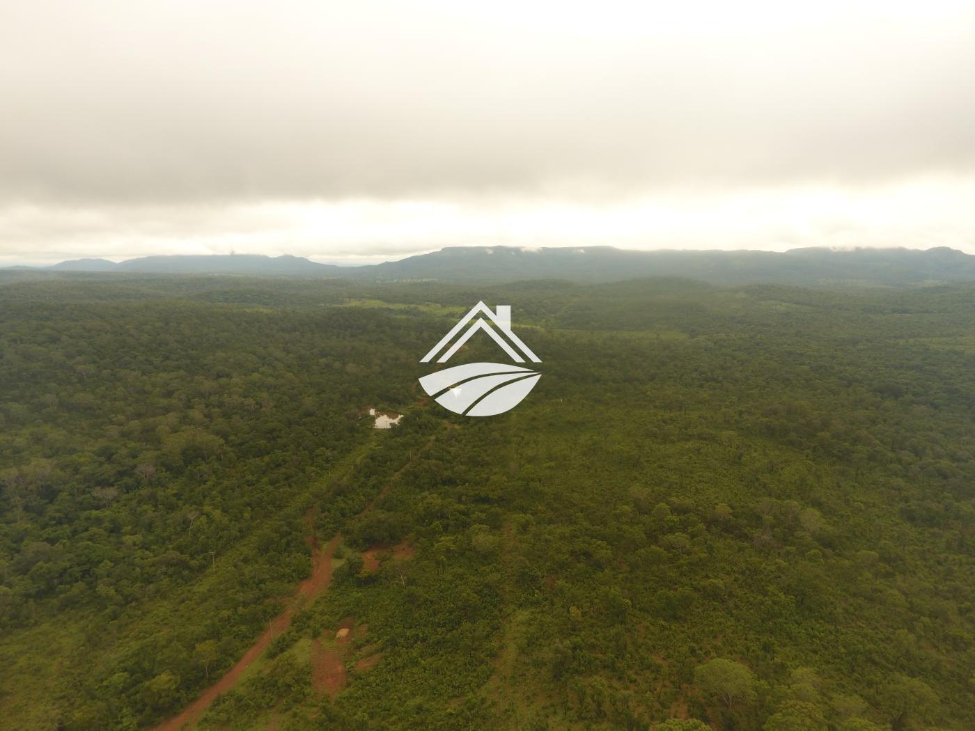 Fazenda à venda, 1m² - Foto 20