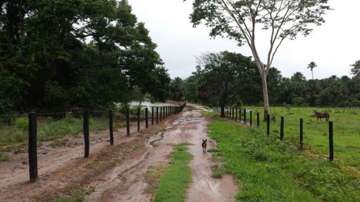 Fazenda à venda com 3 quartos - Foto 7