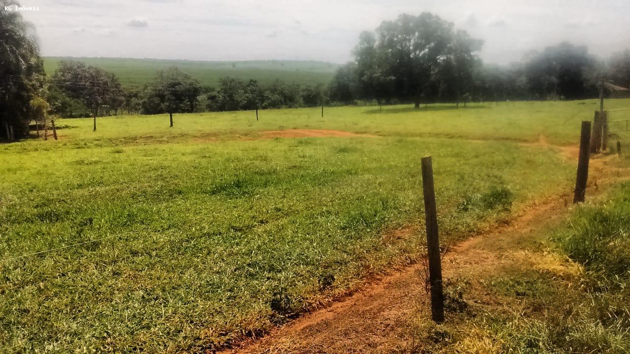 Fazenda à venda com 3 quartos, 3581600m² - Foto 16