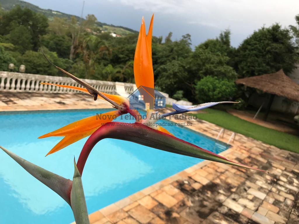 Chácara à venda com 5 quartos, 3638m² - Foto 1